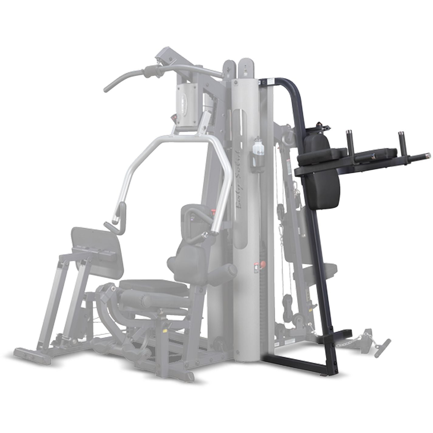 Vertical Knee Raise and Dip Station for G9S